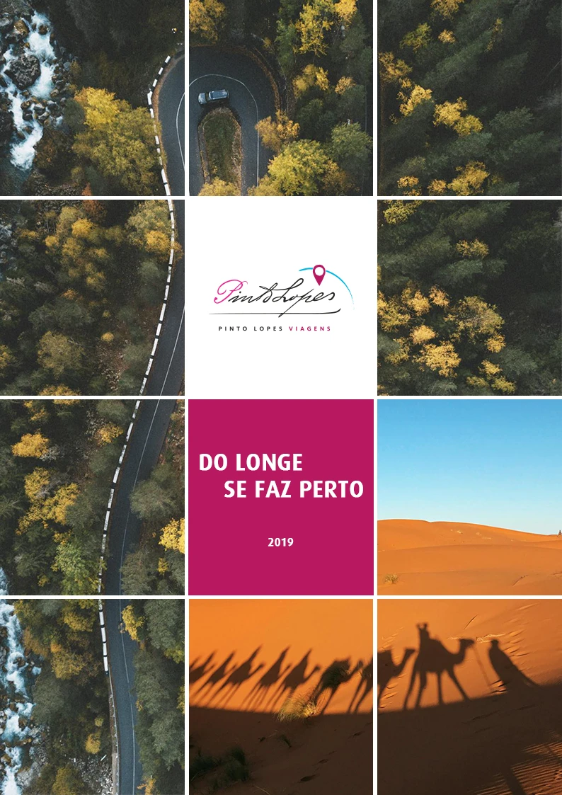 catalaogo 2019
